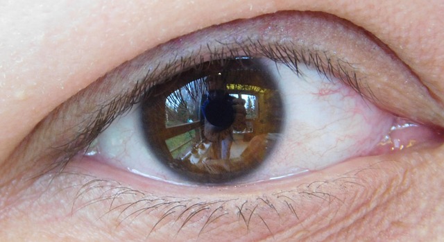 Auge, Fotograf, Kamera, Porträt, Foto