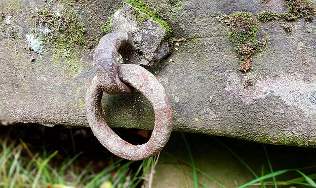 Stein, Steintrog, Ring, Metallring