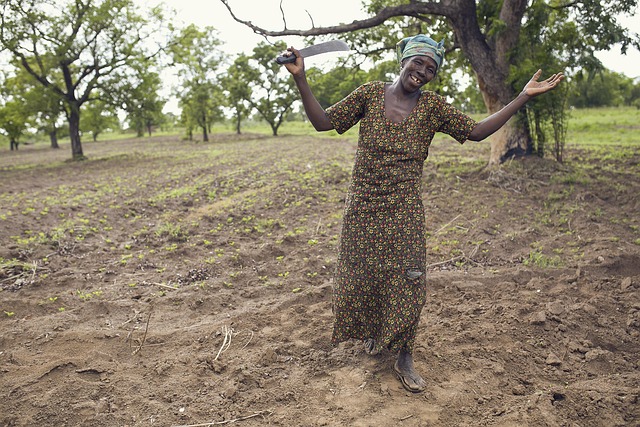 Free Farmer Africa photo and picture