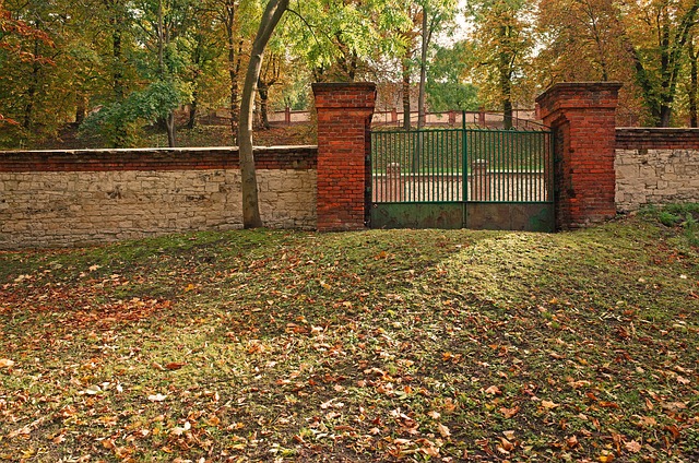 Free Autumn Leaves photo and picture