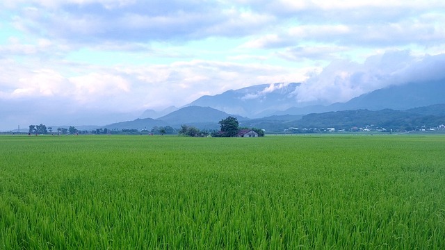Avenida Brown, Taitung, Taiwán