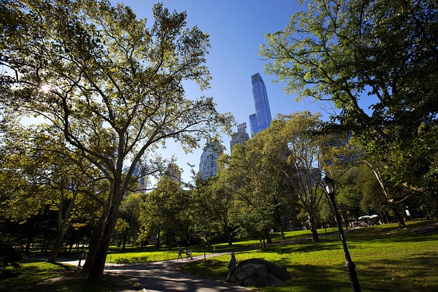 Free Nyc New York City photo and picture