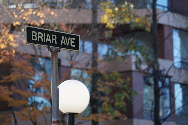 City Street Sign The Leaves Autumn - Free photo on Pixabay - Pixabay