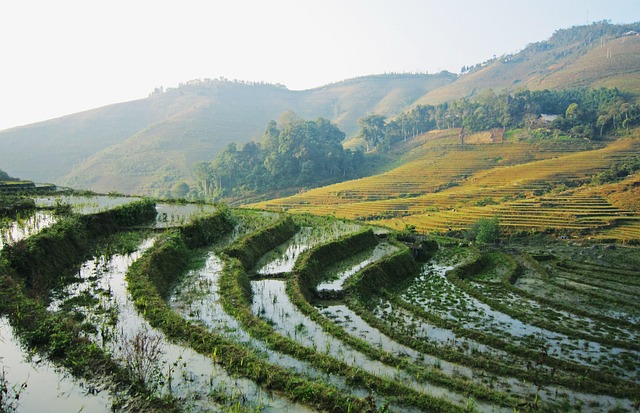 Free Vietnam Sapa photo and picture