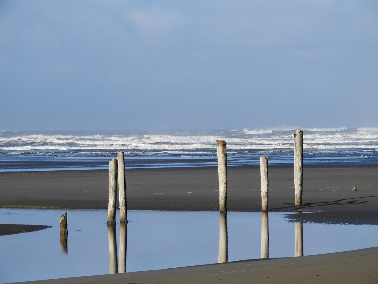 Beach Piling Ocean - Free photo on Pixabay