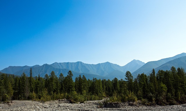 Free Mountain Forest photo and picture