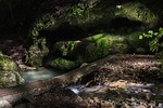 forest, lake, rocks