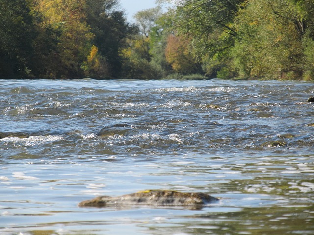 Free River Water photo and picture
