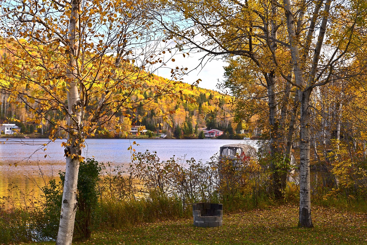 Fall - free online jigsaw puzzle photo