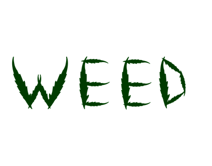 Free Plant Thailand illustration and picture