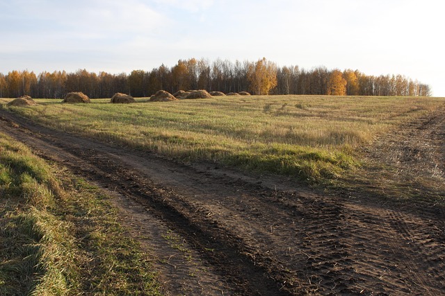 Veld, Natuur, Rusland