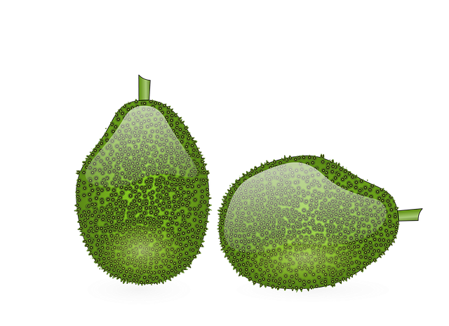 Free jack fruit fruit jack illustration