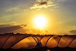 greenhouse, hothouse, agriculture