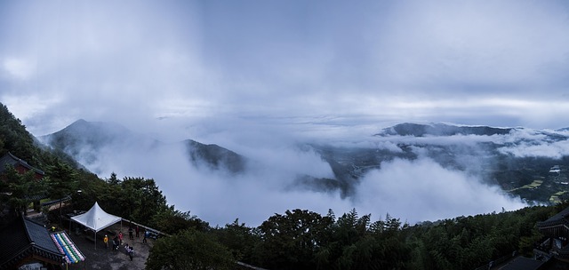 Free Fog Landscape photo and picture