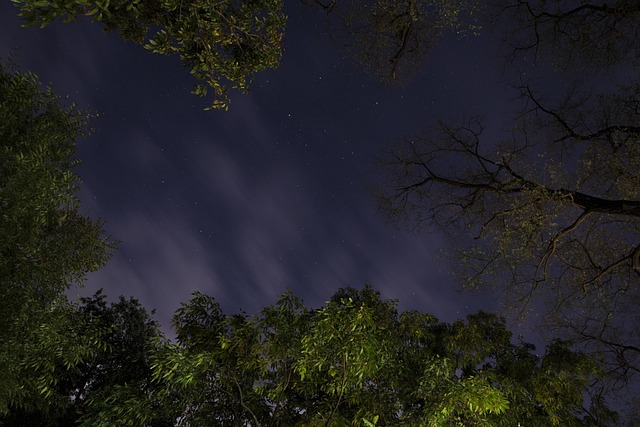 Free Night Sky Milky Way photo and picture