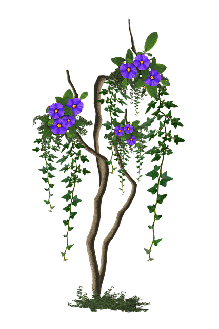 Free Image Cropped Tree With Flowers photo and picture