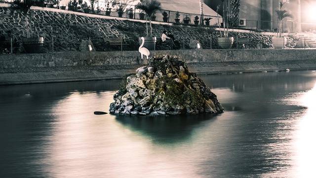 Free Flamingo River photo and picture