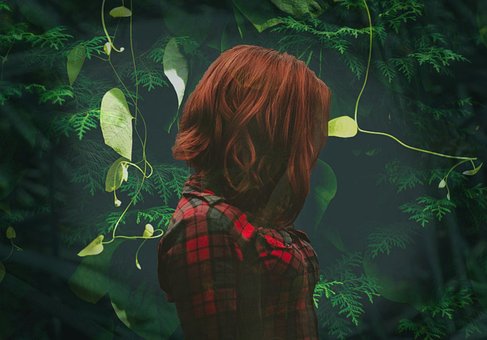 Free Green Leaves photo and picture