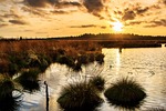 sunset, moor, veen