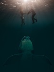 photo montage, surreal, fantasy picture