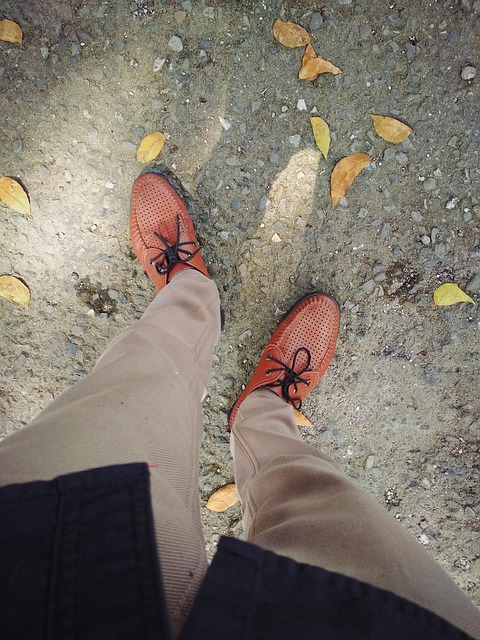 Free Shoe Leaf photo and picture