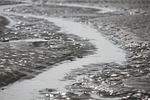 wadden sea, ebb, north sea
