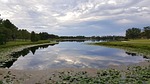 walsingham park, largo, st petersburg