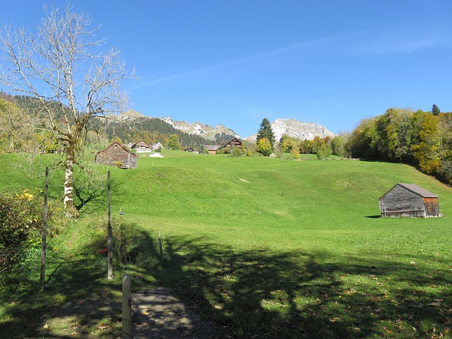Free Switzerland Mountains photo and picture