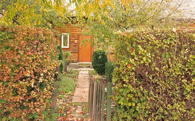 Free Autumn Corner photo and picture
