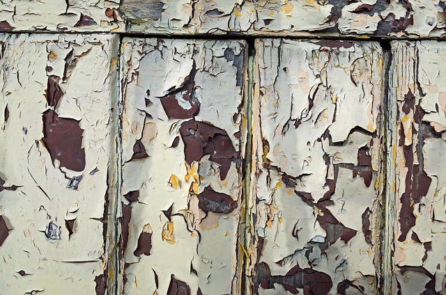 Free Texture Paint photo and picture