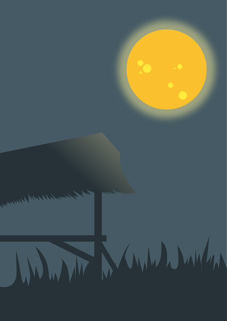 Free view nature night vector