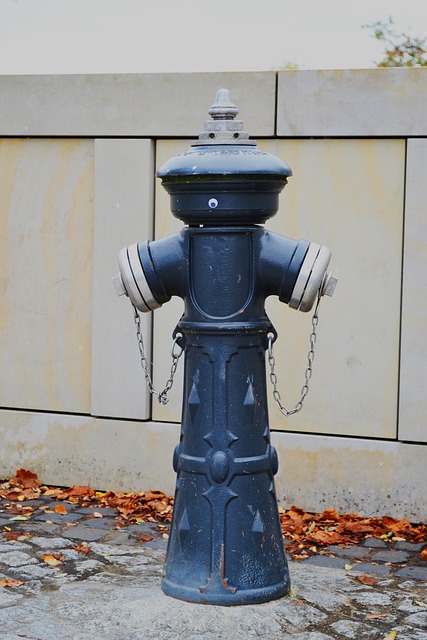 Free Hydrant Fire photo and picture