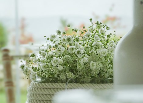 Blomster, Middag, Restaurant, Dekorative