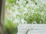 flowers, diner, love