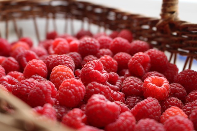 Free Raspberry Berries photo and picture