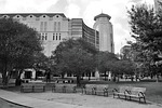 herman park, houston texas, benches