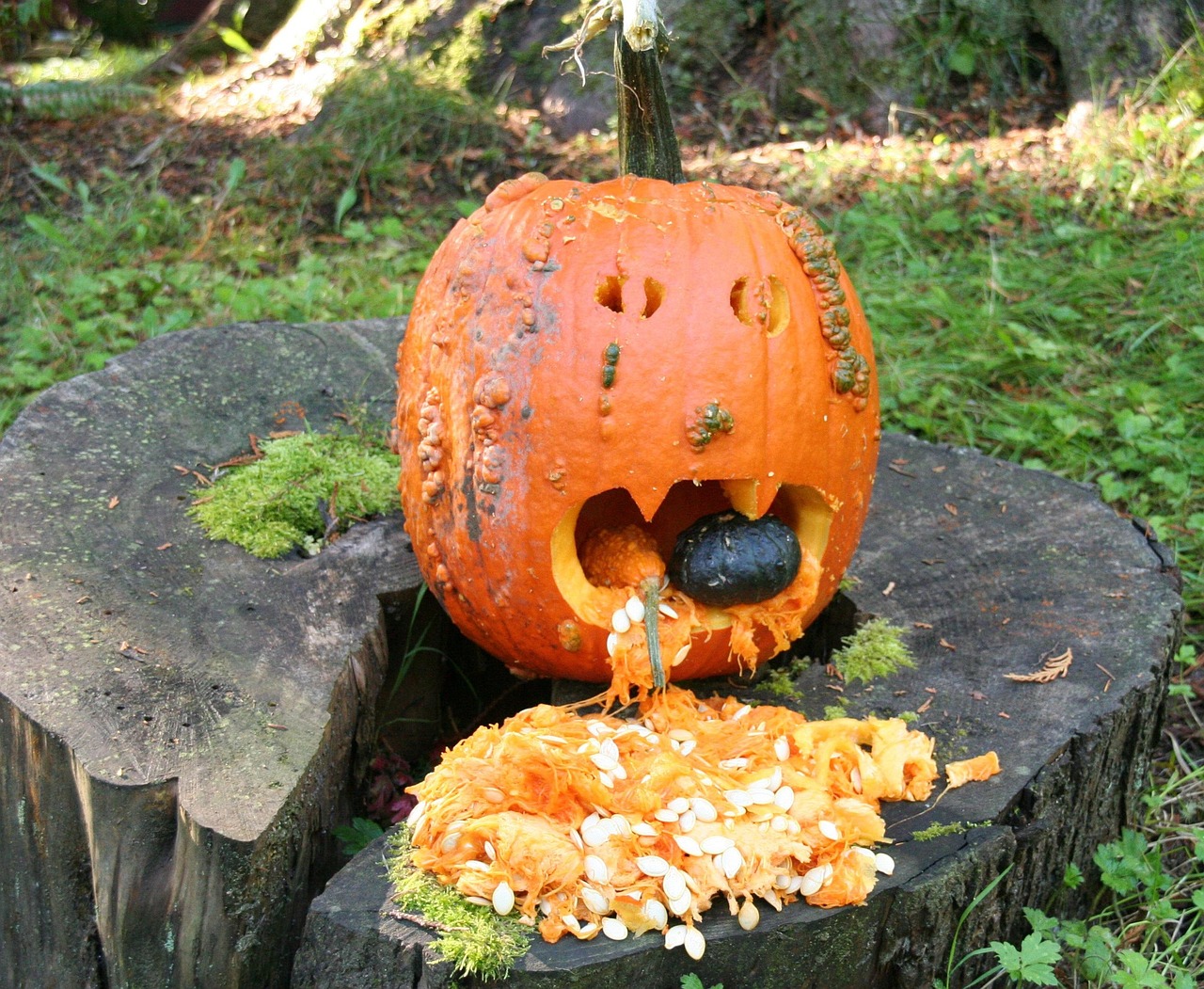Halloween - free online jigsaw puzzle photo