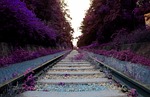 arboretum, railroad tracks, mont-hwan