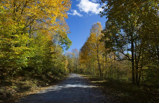 Hojas De Otoño, Rastro, Otoño