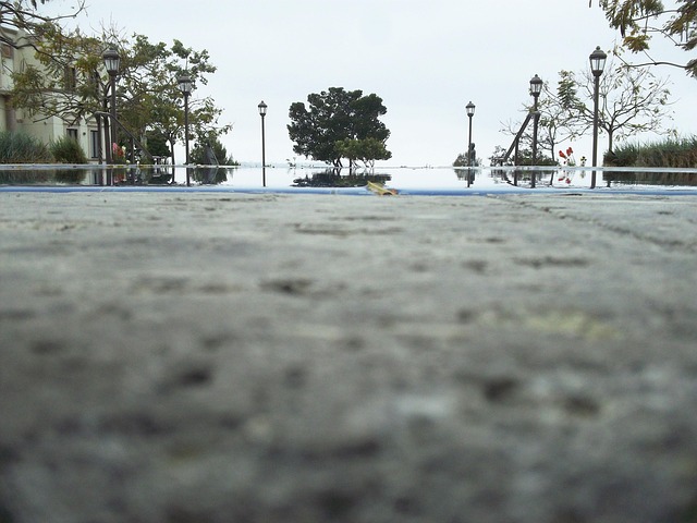 Free Tree Pool Ledge photo and picture