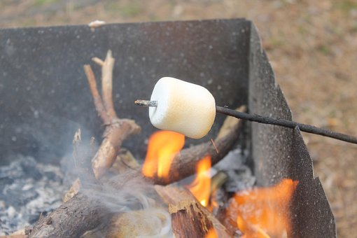 Free Marshmallow Koster photo and picture