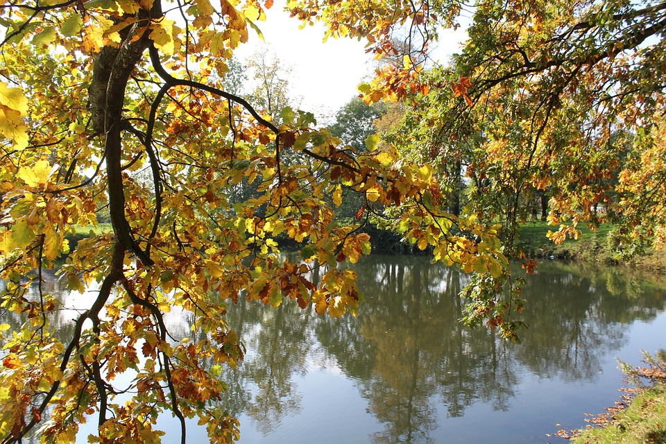 Autumn Trees Water Park Free photo on Pixabay Pixabay
