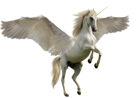 Einhorn, Fantasie, Pferd, Mythologie