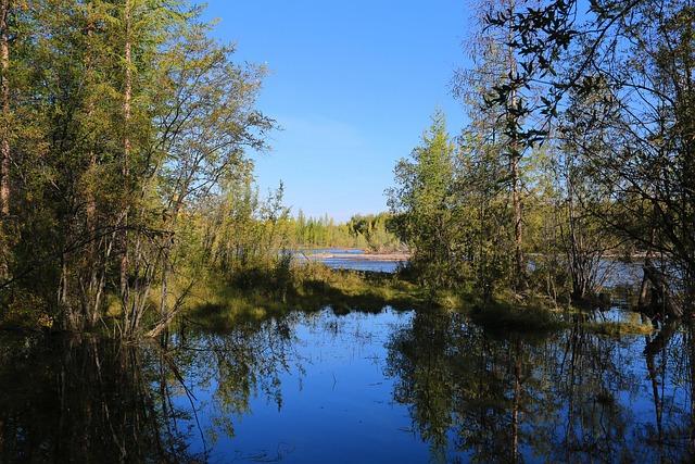 Free Reflection River photo and picture