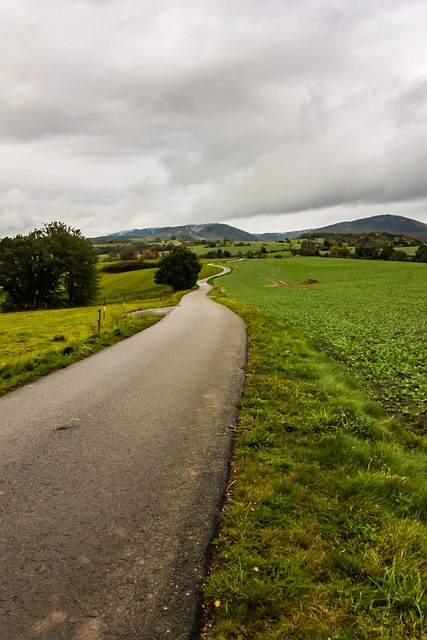 Free Path Bike Path photo and picture