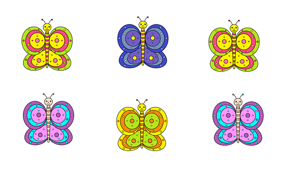 Free Butterflies Insect illustration and picture