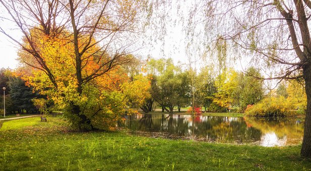 Осень, Парк, Осеннее Золото, Октябрь
