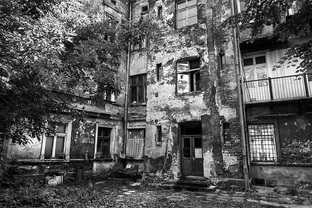Free Tenement Backyard photo and picture