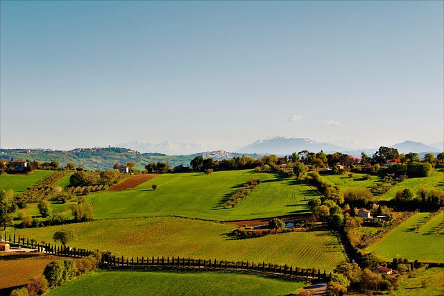 Free Landscape Nature photo and picture