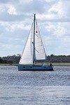 sail boat, sailing, river